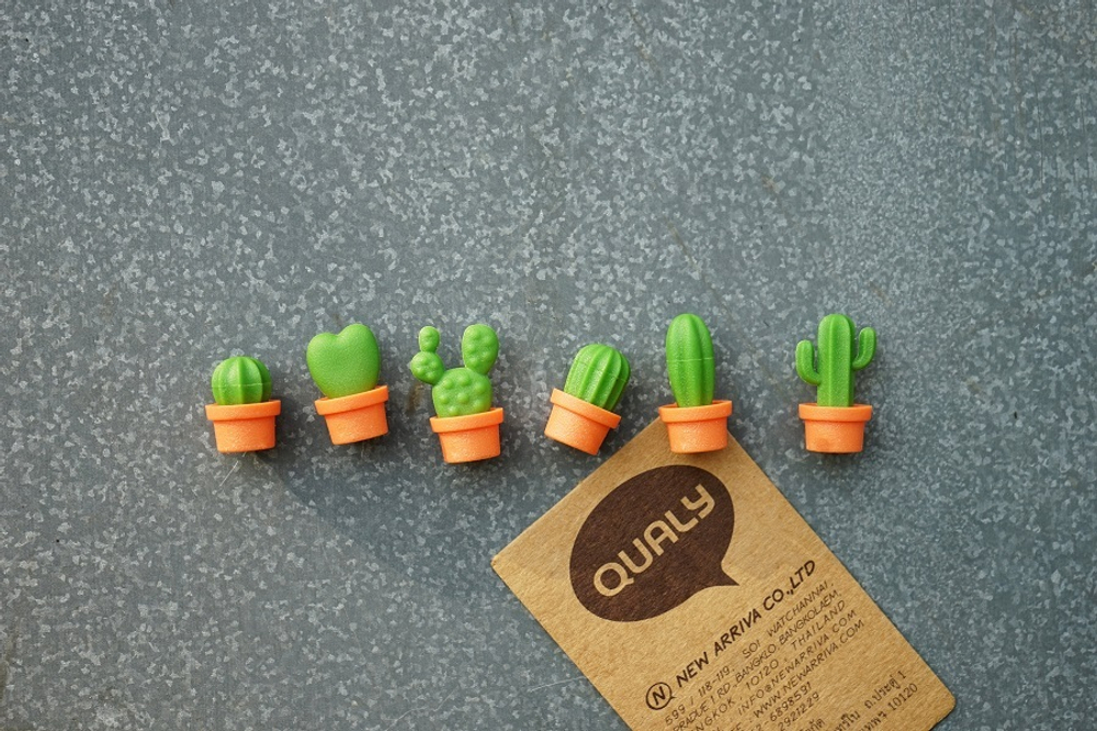 Набор магнитов cactus, 6 шт.