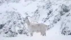 Вода негазированная Evian, 330 мл