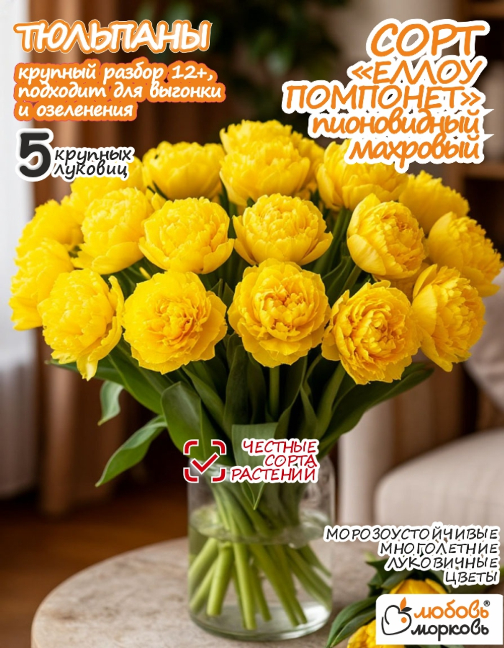 Тюльпан Луковица, Еллоу Помпонетт, 5шт (Любовь Морковь)