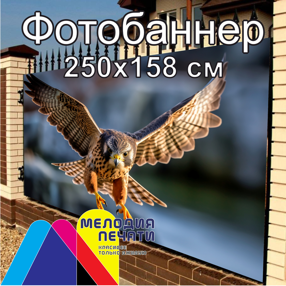 Фотобаннер 250х158 см для забора