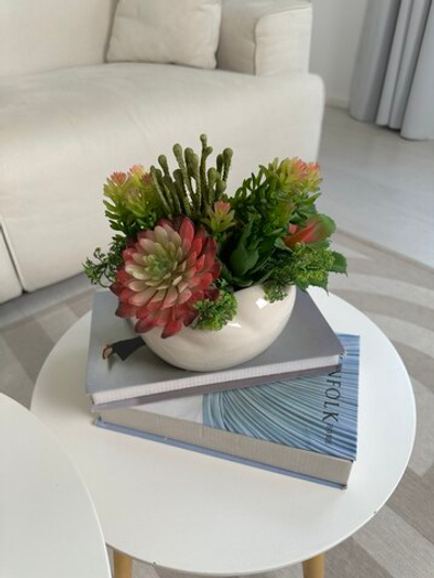 Микс суккулентов в бежевом кашпо-бонсай, в-22 см, дл-26 см, гл-20 см