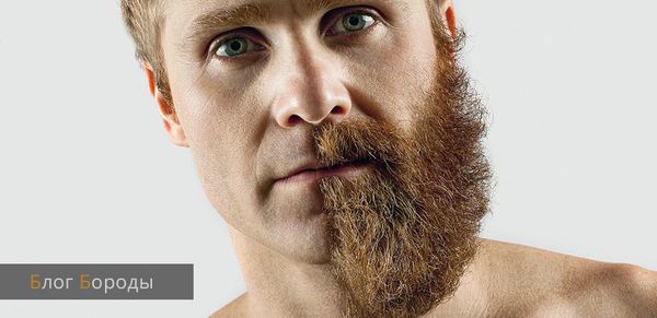 10 правил блестящего успеха вашей бороды