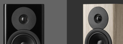 Акустическая система Dynaudio Evoke 10