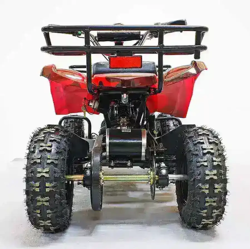 Электроквадроцикл Green Camel Гоби K31 (36V 800W R6 Цепь) ножной тормоз