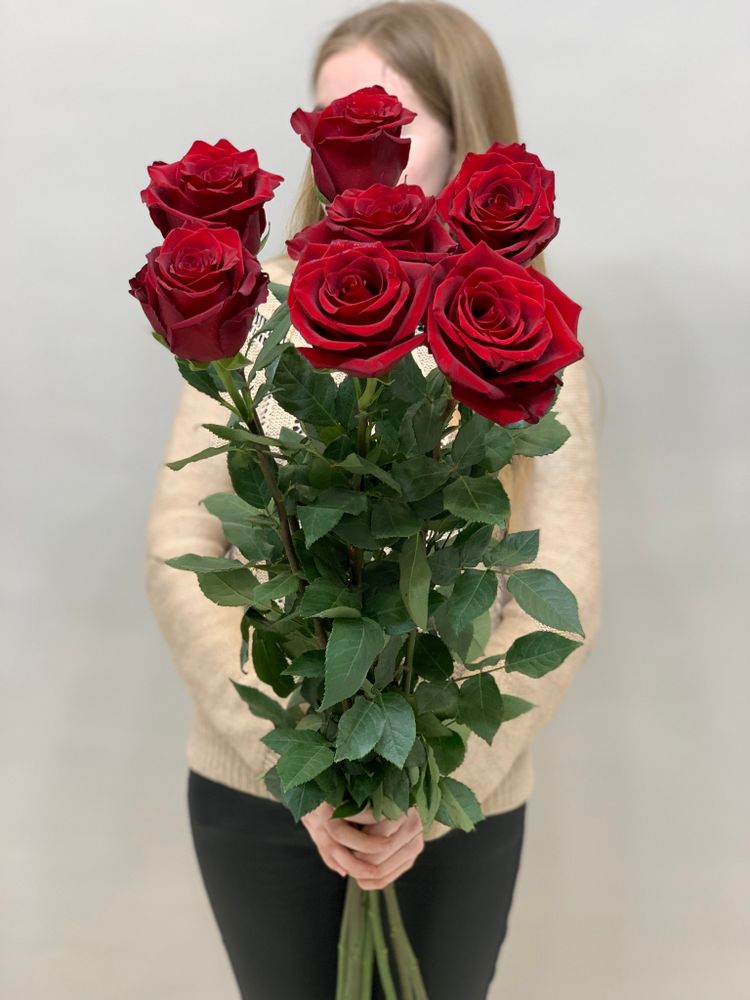 Букет 7 метровых роз красные в ленте