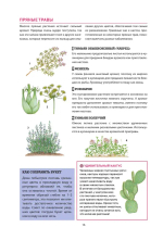 Искатель приключений. Справочник юного путешественника. Как весело и безопасно проводить время на природе