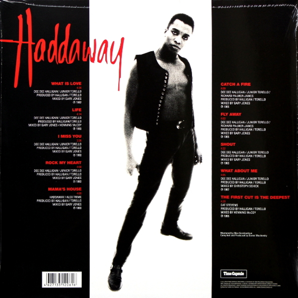 Haddaway / What Is Love? The Singles Of The 90s (Clear Vinyl)(LP)