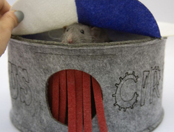 Игровой домик "Circus" для грызунов, размер 24х24х28 см