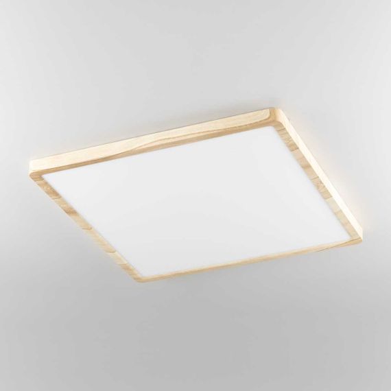 Светильник накладной Citilux Бейсик CL738K502V