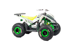 Квадроцикл Racer RC110 Coyote (зеленый)
