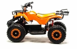 Электроквадроцикл Motoland ATV E008 800Вт
