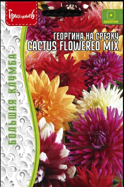 Георгина на срезку Cactus Flowered mix