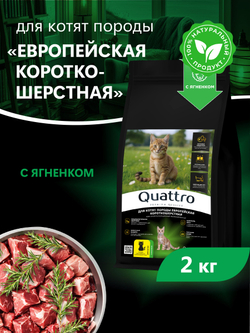 Корм сухой для котят породы Европейская короткошёрстная, с ягненком, 2кг, QUATTRO