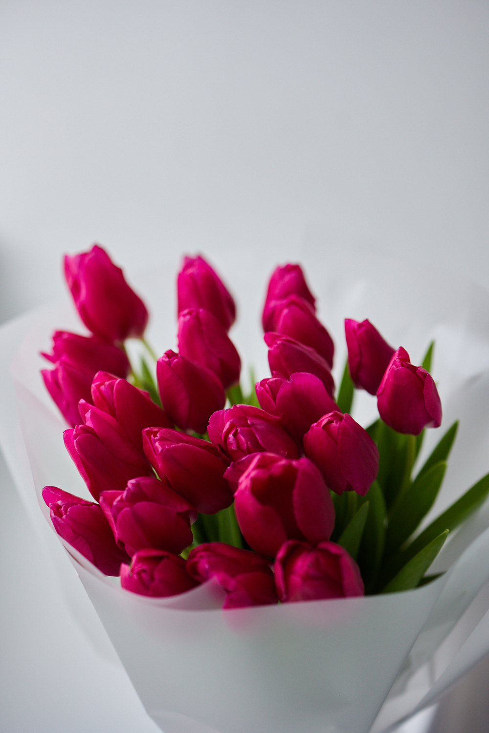 Моно- букет (цвет малина)