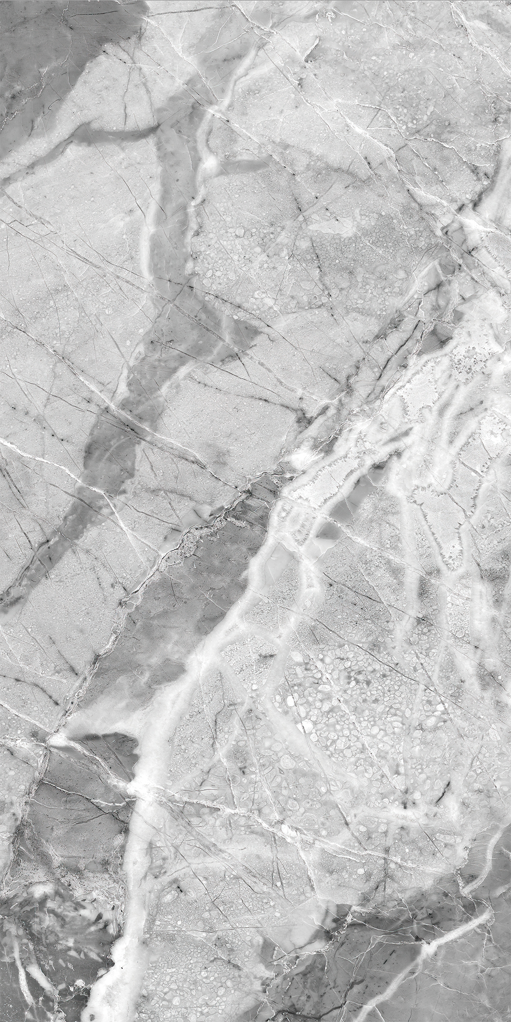 Сильвер Грэй