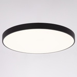 Citilux Купер CL724155G1 LED RGB Светильник с пультом Чёрный