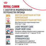 Royal Canin British Shorthair Adult (БРИТАНСКАЯ КОРОТКОШЕРСТНАЯ ЭДАЛТ) Корм консервированный для взрослых кошек соус 85г