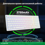 Клавиатура Royal Kludge RK98 Red switch/Klein Blue