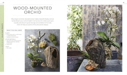 RHS Practical House Plant Book