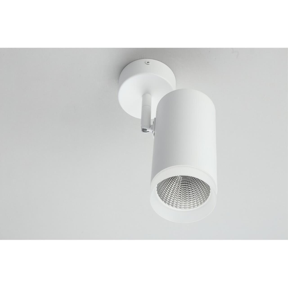 Накладной светодиодный светильник Omnilux Maratea OML-102609-20