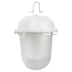 Светильник ЭРА НСП 02-100-001 без решетки Желудь сталь / стекло IP54 E27 max 100Вт 262х172 белый | Светильники НСП (Желуди)