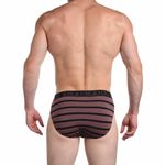 Мужские трусы брифы коричневые в полоску Sergio Dallini SG2937-1