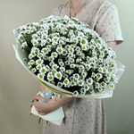 Ромашки-Милашки -L