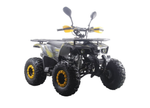 Квадроцикл MOTAX ATV Grizlik Premium 125