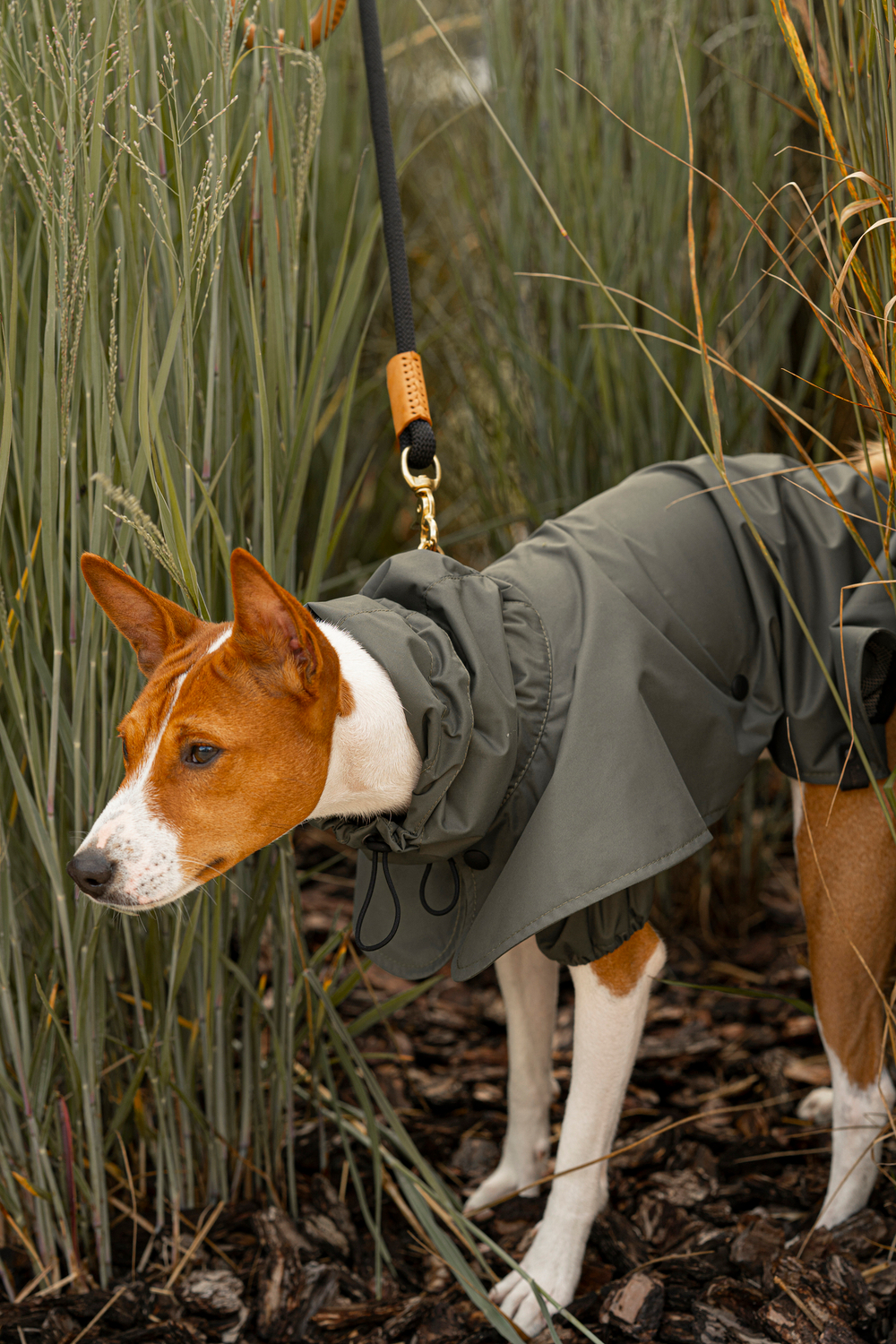 Дождевик "Пони-парасоли"