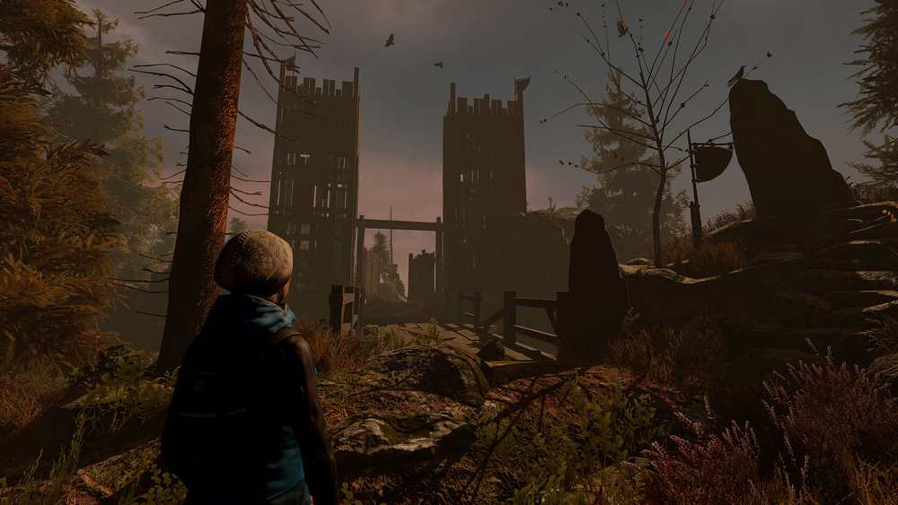 Through the Woods (для ПК, цифровой код доступа)