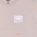  Футболка мужская Dickies Saltville Tee артикул:DK0A4YR9SS01 - купить в магазине Дайс