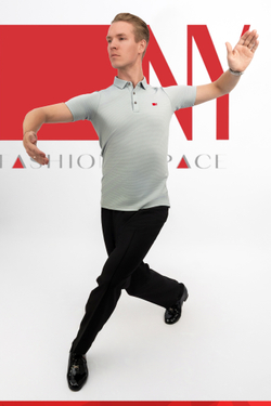 Поло Regular-Fit Titanium