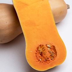 Элиана F1 семена тыквы (Enza Zaden / Энза Заден)