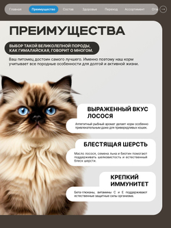 Корм сухой для взрослых кошек породы Гималайская, с лососем, 400 гр, QUATTRO