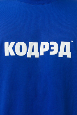 Футболка CODERED Regular Лого 20 TM Василёк