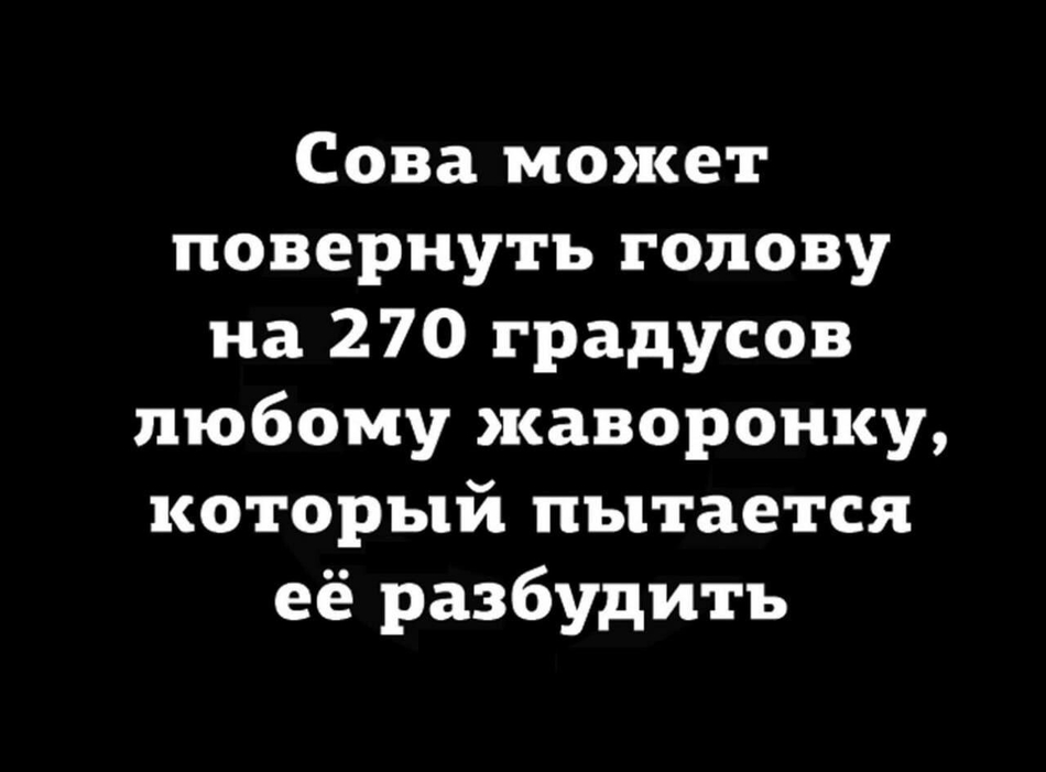 первый для проверки