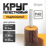 Круг лепестковый радиальный ТУНДРА, 20×20×6 мм, Р40