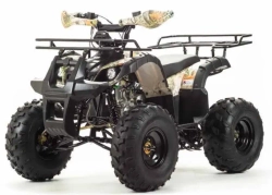 Квадроцикл Motoland 125 FOX