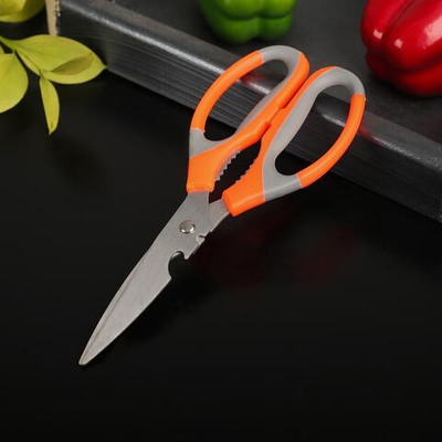 Ножницы кухонные Доляна «Драйв», 22 см, с открывалкой для бутылки, цвет МИКС (Цвет: не задано)