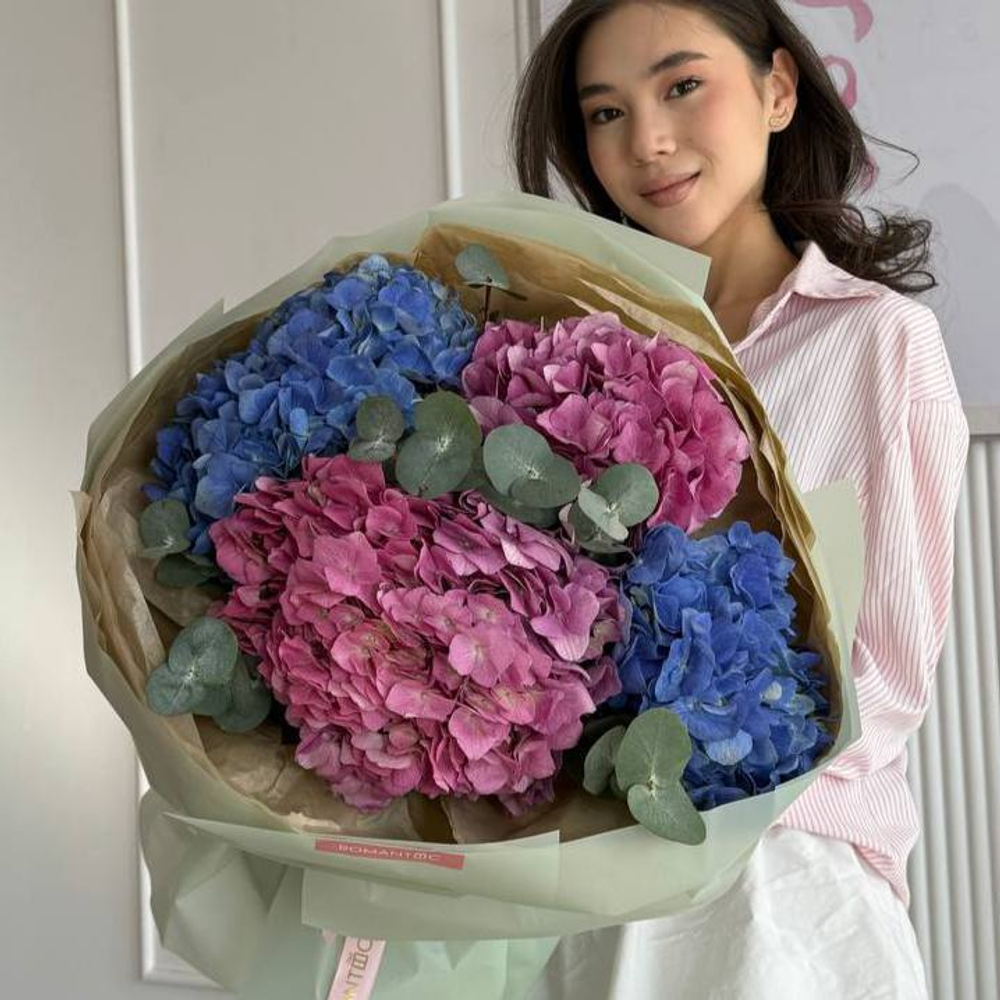 Hydrangeas 5