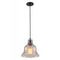 Подвесной светильник Arte Lamp Amiata A4255SP-1AM