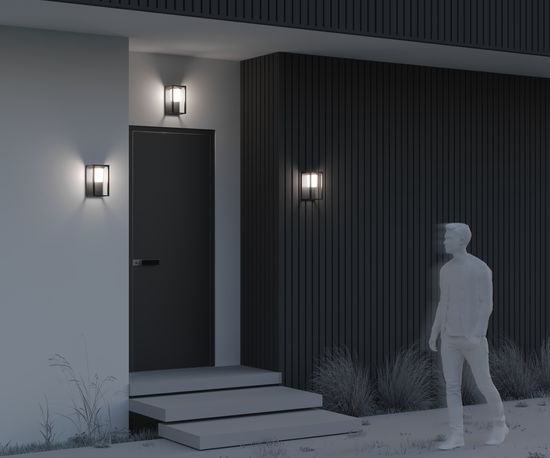 Настенный светильник (бра) Outdoor OSL457WL-L2GF3K