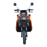 Электротрицикл Kugoo T3