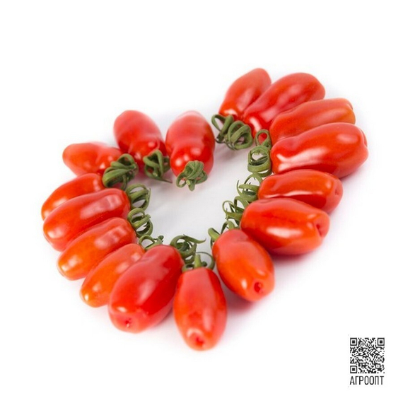 Идолини F1 семена томата индетерминантного (Rijk Zwaan / Райк Цваан) плод – фото 4