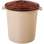 Бак 50 л с крышкой