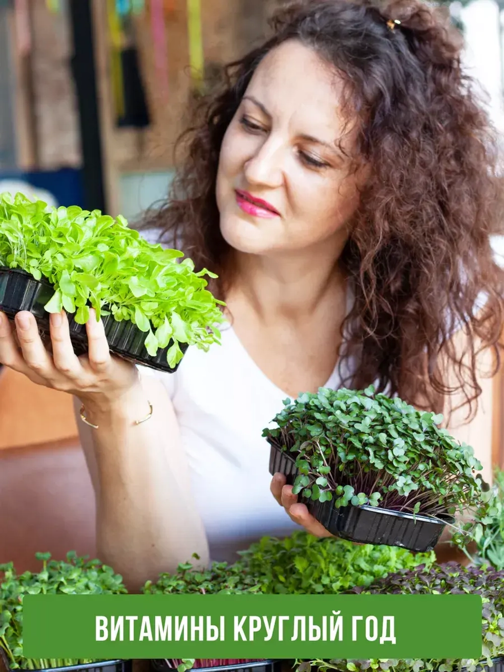 Агровата набор для выращивания микрозелени, 20 ШТ