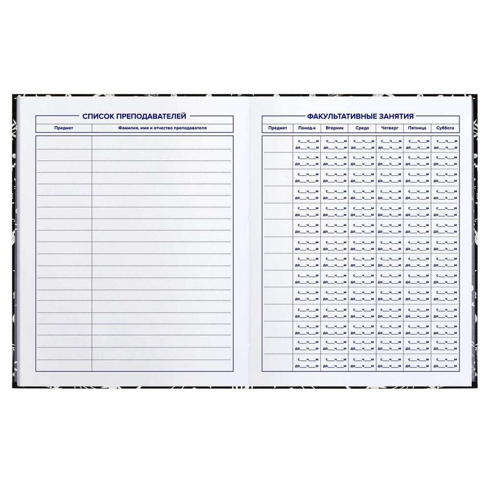 Дневник школьный 5-11 класс 48л "Панк 2" (Феникс+)