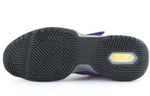 Кроссовки Nike Ambassador Xii 12