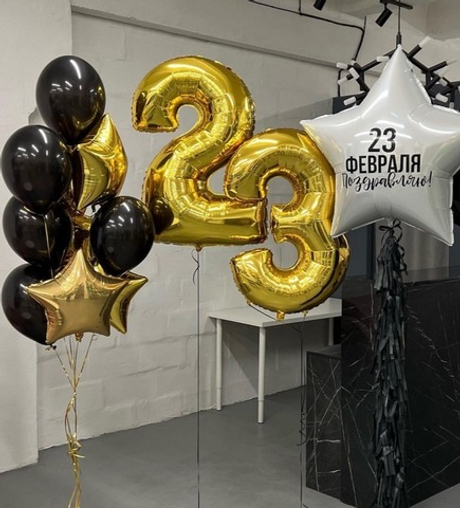 Набор шаров на 23 февраля/день защитника отечества №2590