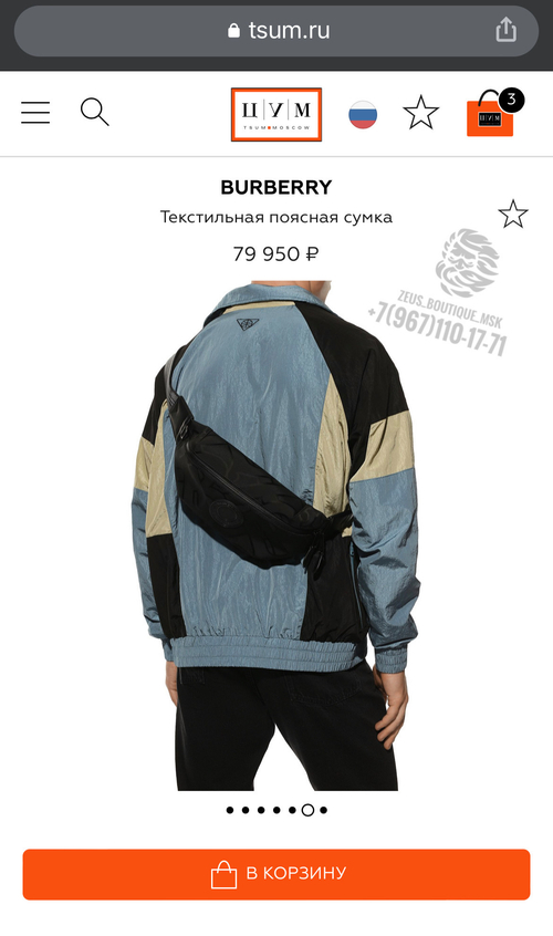 Поясная сумка Burberry